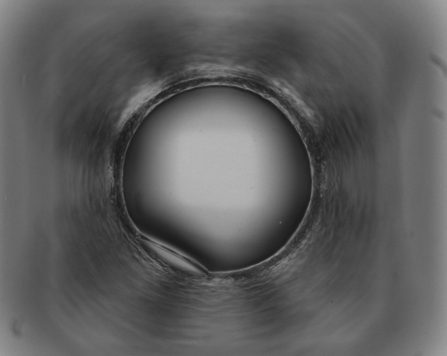 X0000091211261200708301420