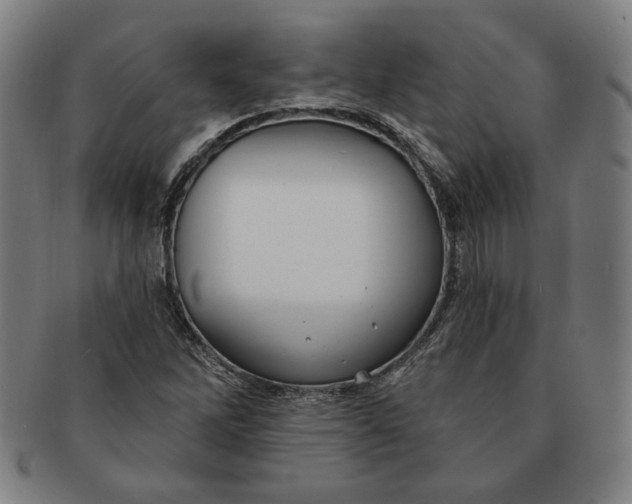 X0000091211262200708301420