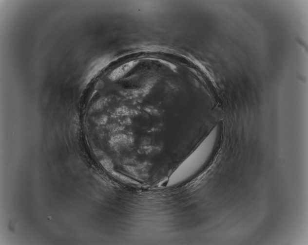 X0000091211263200708301420