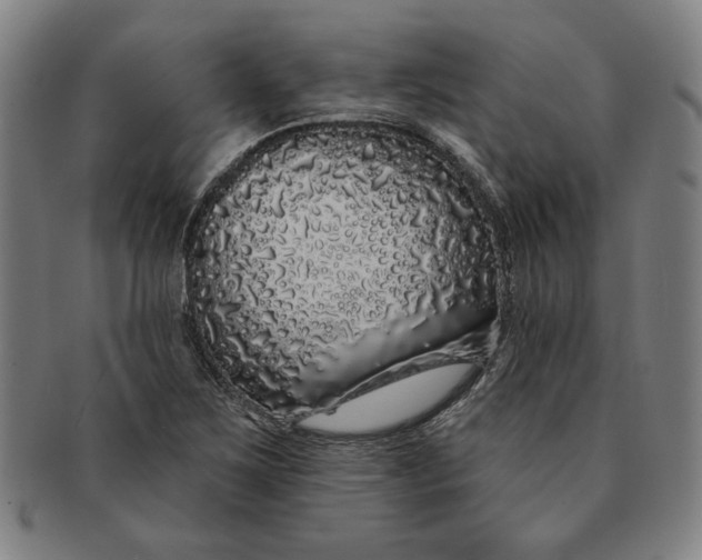 X0000091211267200708301420