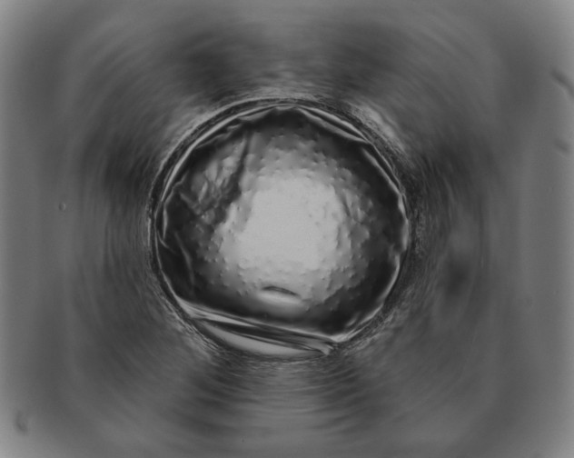 X0000091211268200708301420