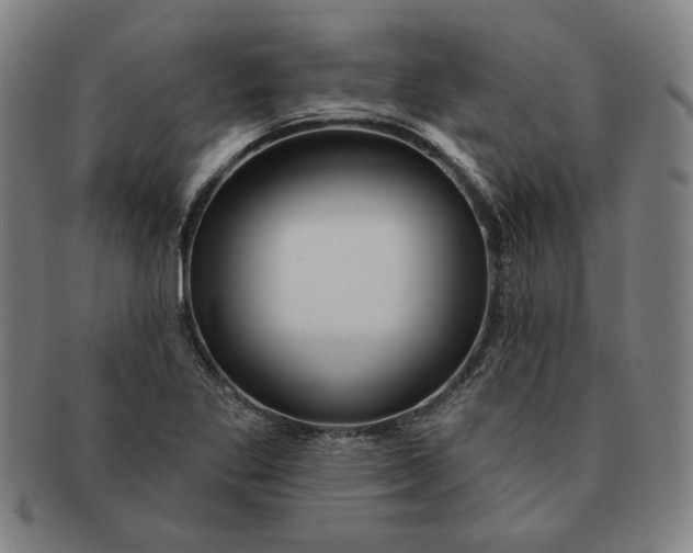 X0000091211269200708301420