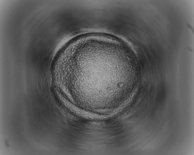 X0000091211271200708301420