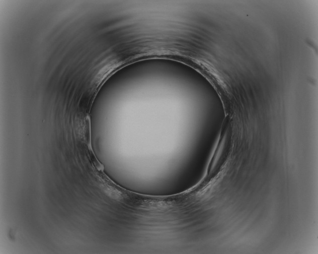 X0000091211273200708301420