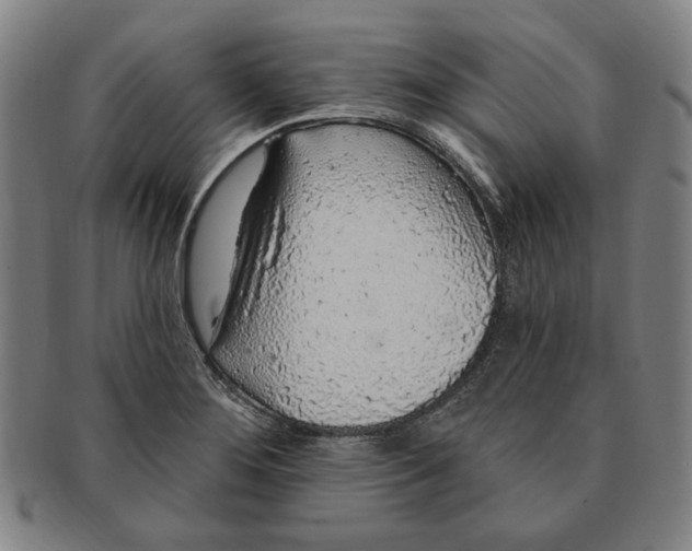 X0000091211276200708301420