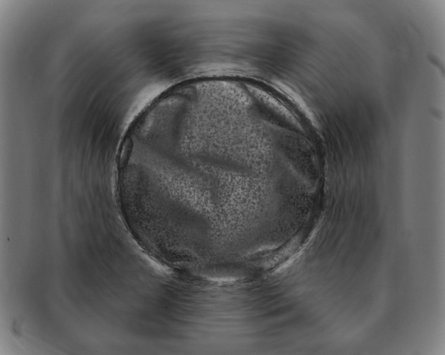 X0000091211277200708301420