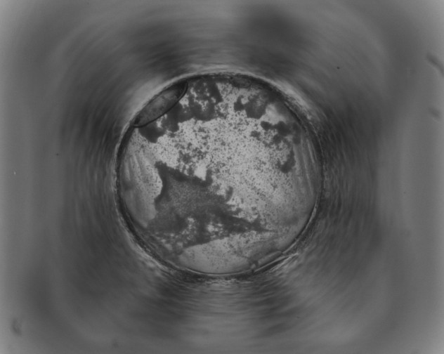 X0000091211279200708301420