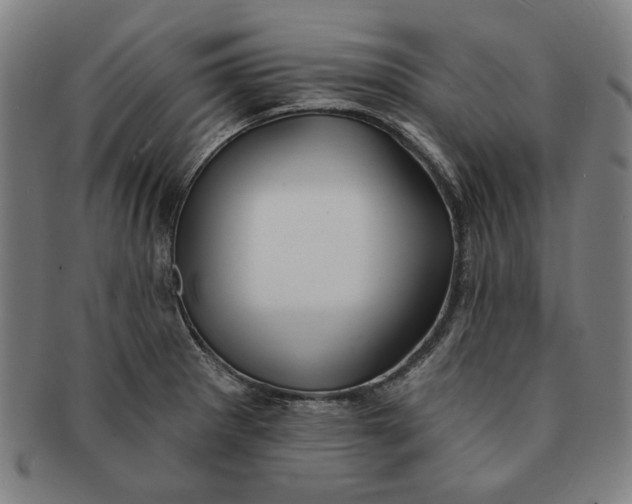 X0000091211281200708301420