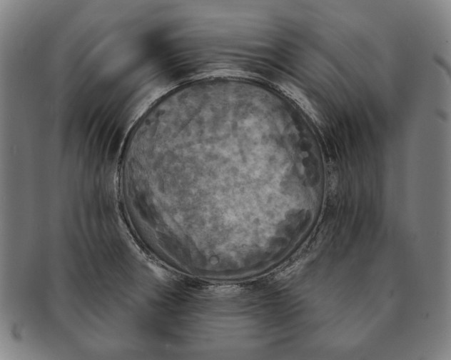 X0000091211282200708301420