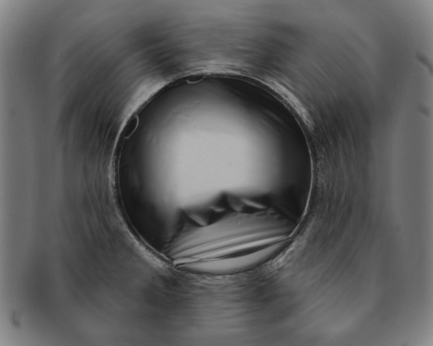 X0000091211285200708301420