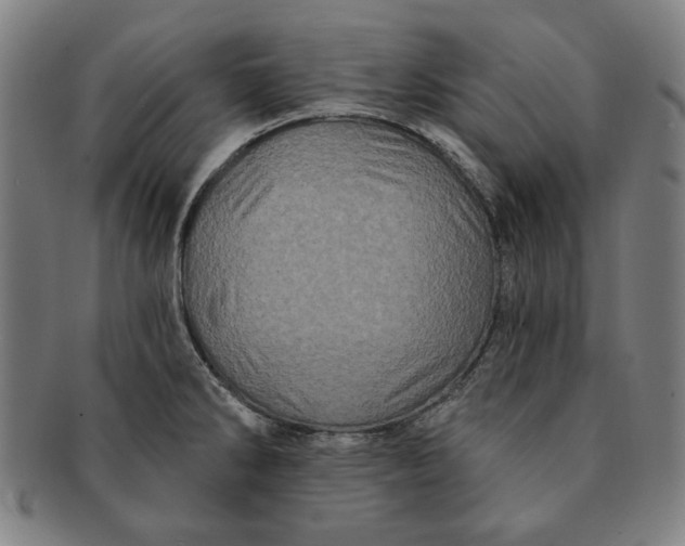 X0000091211286200708301420