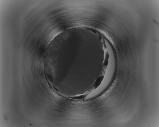 X0000091211289200708301420