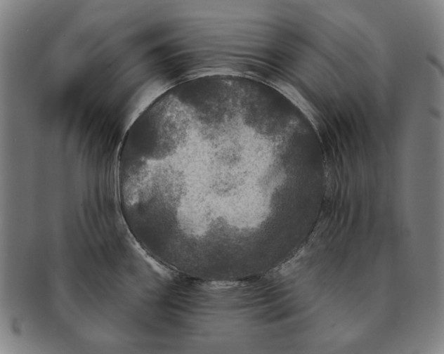 X0000091211290200708301420