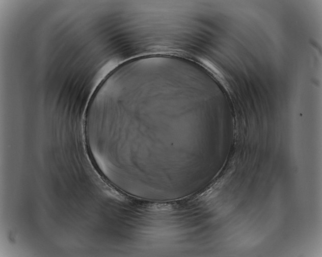 X0000091211291200708301420