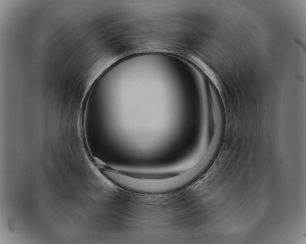 X0000091211293200708301420