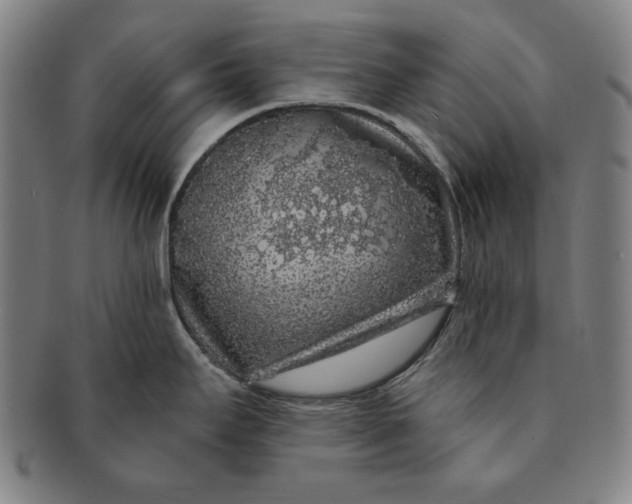 X0000091211295200708301420