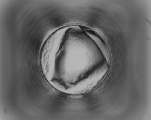 X0000091211296200708301420