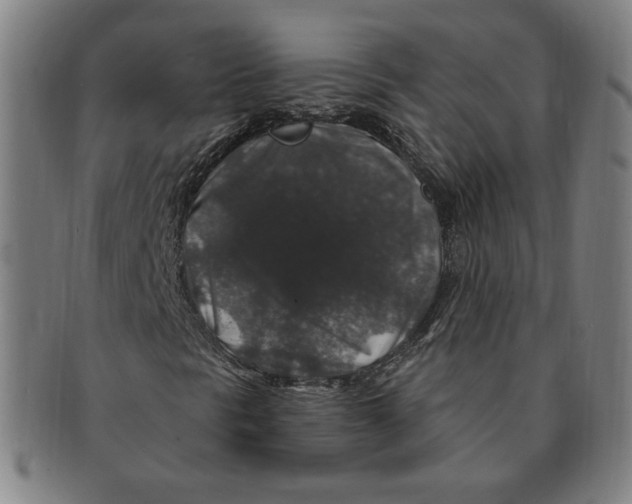 X0000091211297200708301419