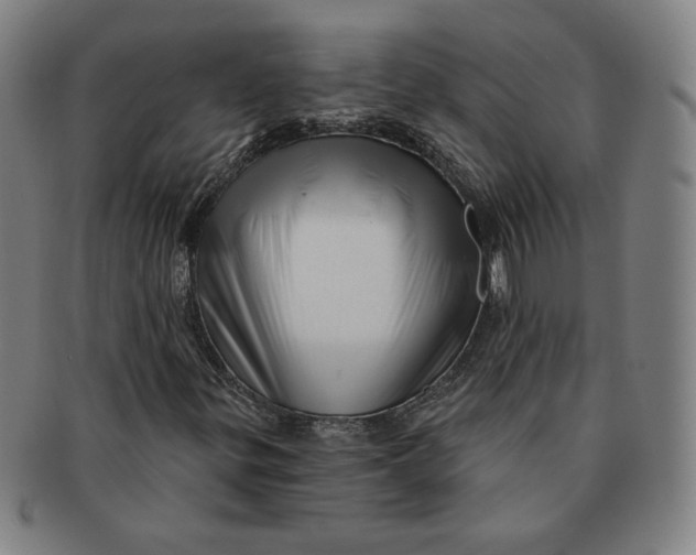 X0000091211299200708301419