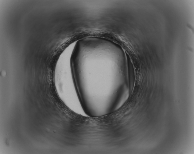 X0000091211301200708301419