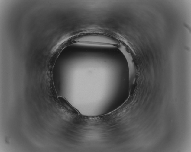 X0000091211304200708301419