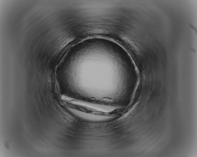 X0000091211305200708301419