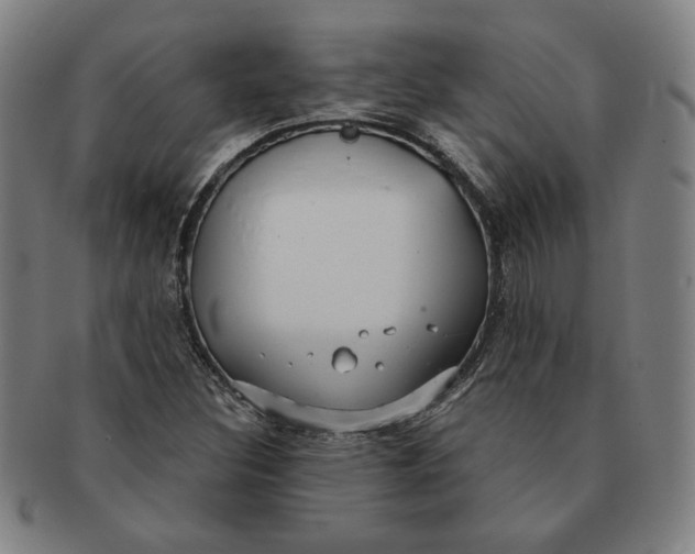 X0000091211308200708301419