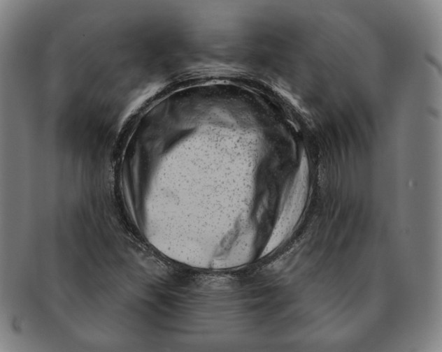 X0000091211309200708301419