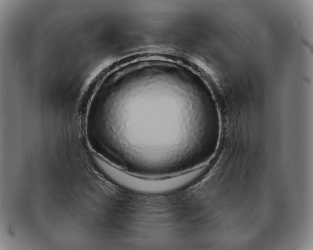 X0000091211310200708301419