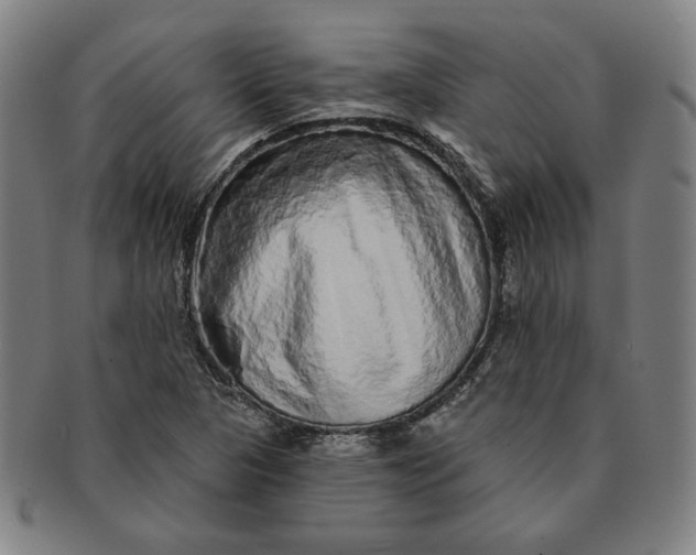 X0000091211313200708301419