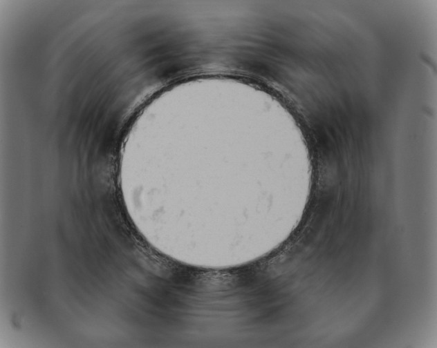 X0000091211314200708301419