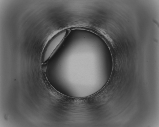 X0000091211316200708301419