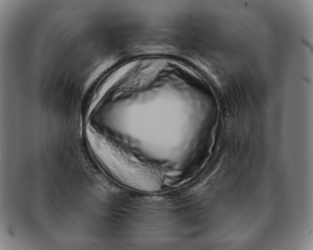 X0000091211317200708301419