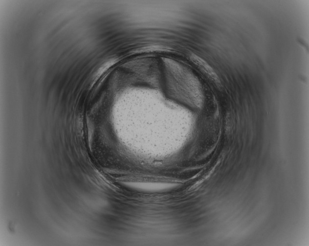 X0000091211321200708301419