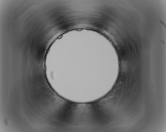 X0000091211322200708301419