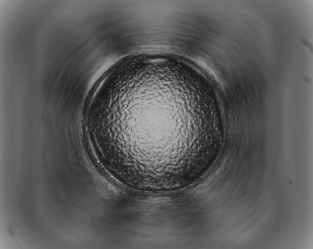 X0000091211325200708301419