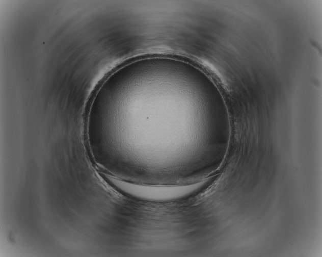 X0000091211326200708301419