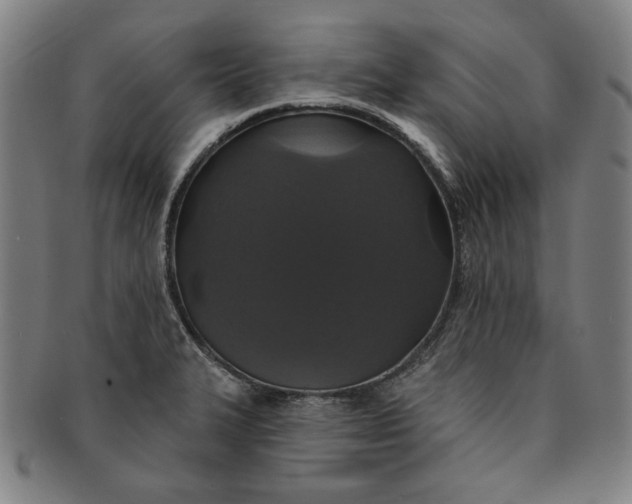 X0000091211327200708301419