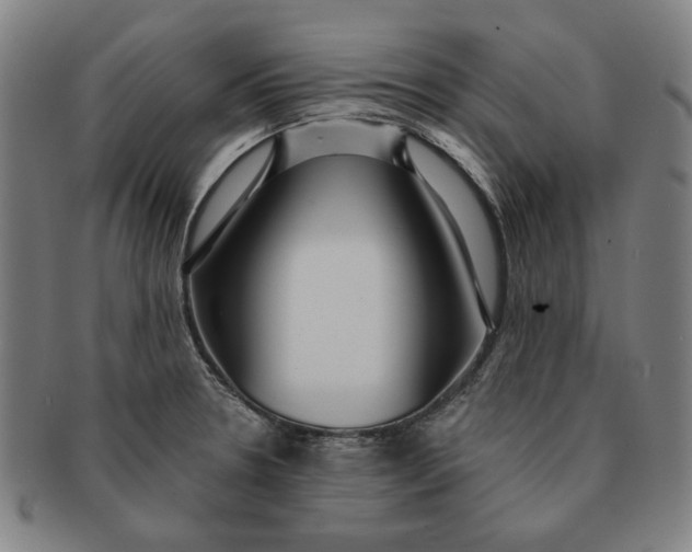 X0000091211330200708301419