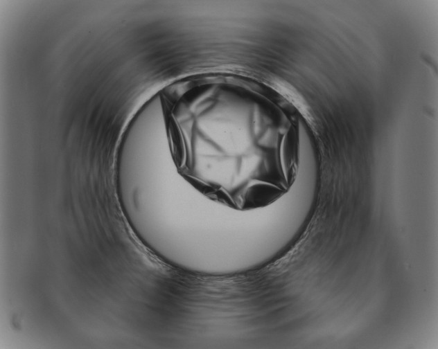 X0000091211332200708301419