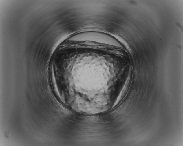 X0000091211333200708301419