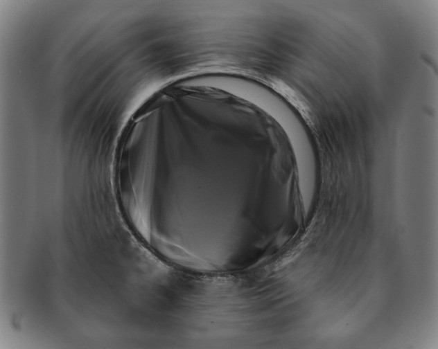 X0000091211334200708301419