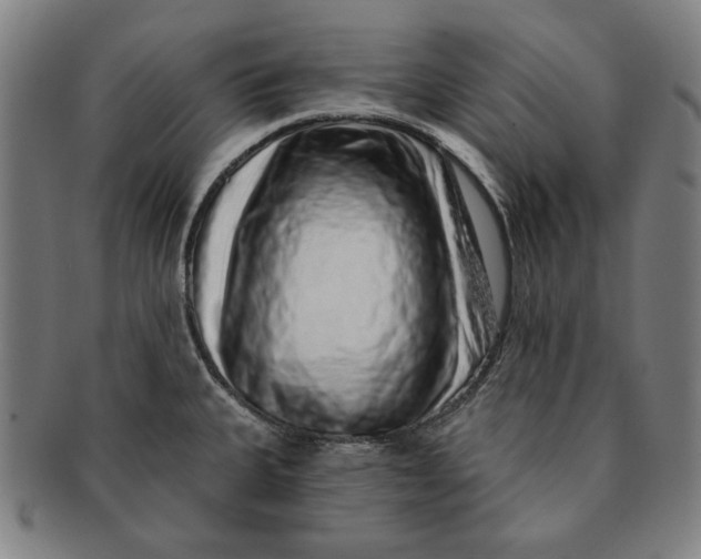 X0000091211335200708301419