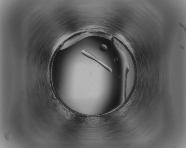 X0000091211336200708301419