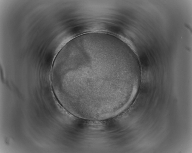 X0000091211338200708301419