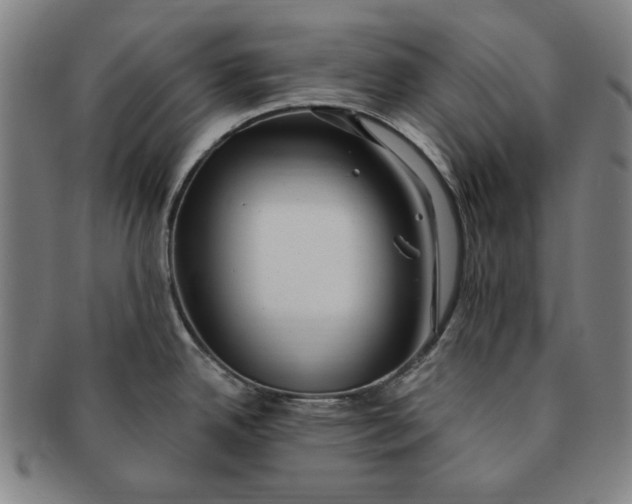 X0000091211342200708301419