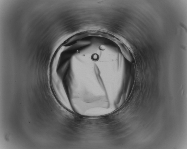 X0000091211343200708301420