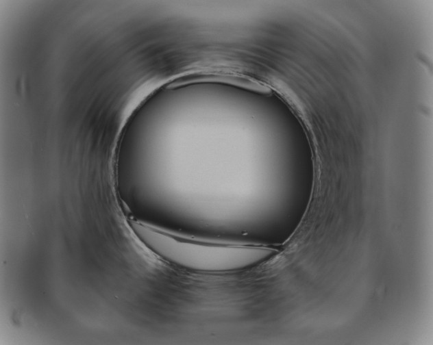 X0000091211344200708301420