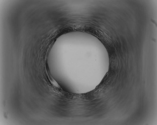 X0000091211345200708301419