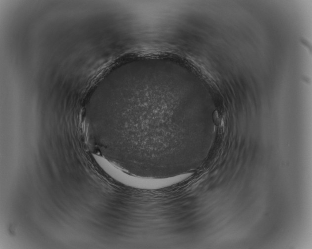 X0000091211348200708301419